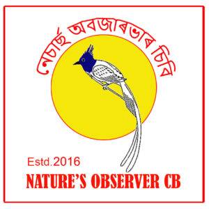 Nature's Observer logo